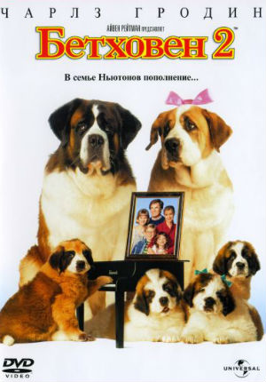 Фильмы про собак: лучшие для семейного просмотра и детей – топ интересных грустных и смешных