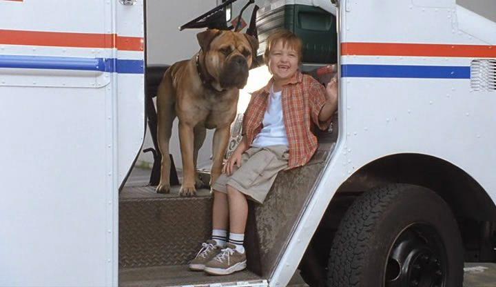 Фильмы про собак: лучшие для семейного просмотра и детей – топ интересных грустных и смешных